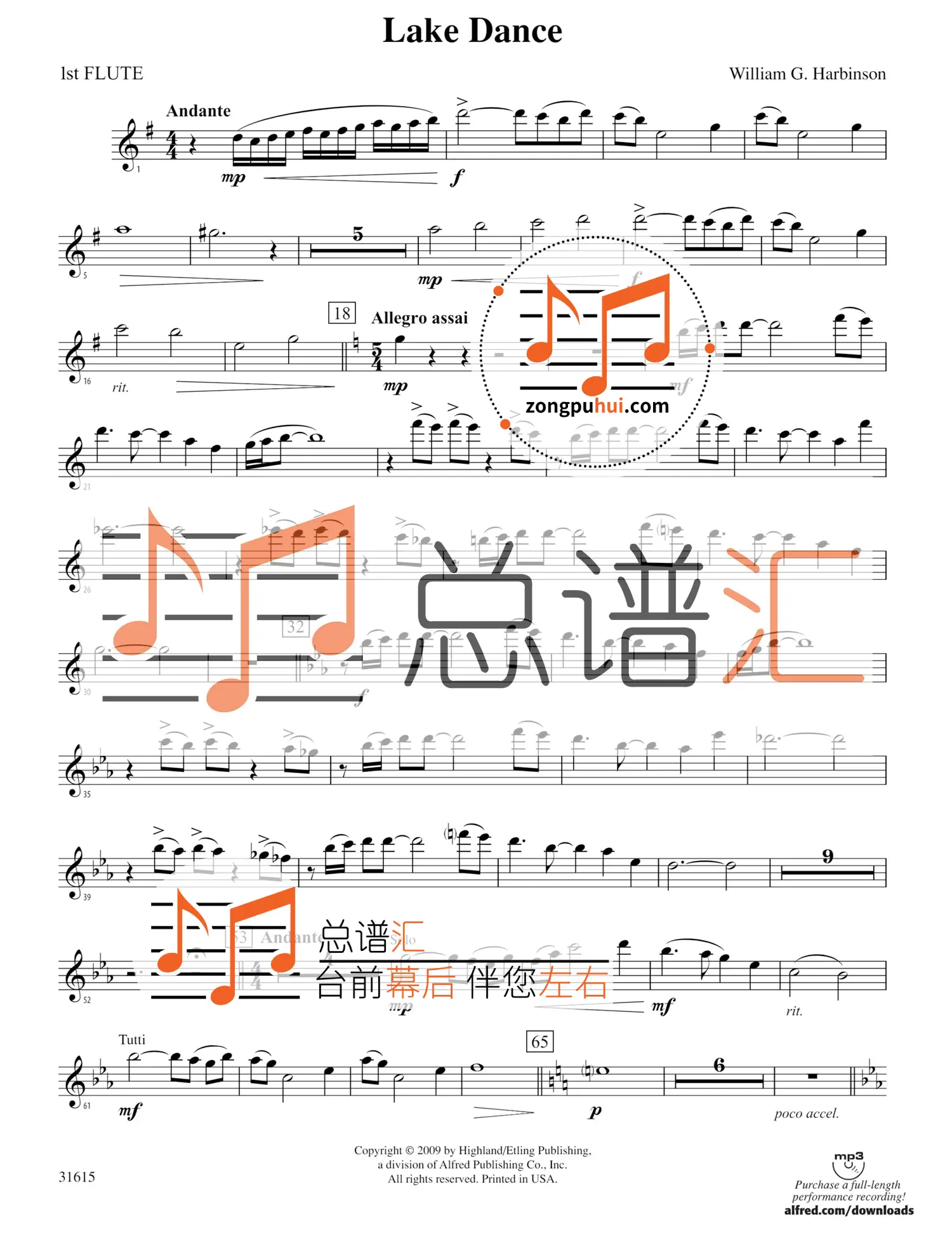 大河之舞 初级乐团 3